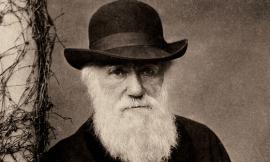 Il Sistema Museale di Unicam per il Darwin Day