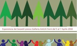 ColorAmbiente, spazio alla creatività