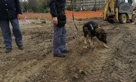 Porto Recanati, non ci sono altri resti. Ultimo giorno per Dogan, il cane della Polizia (Gallery)
