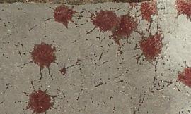 Sulle tracce di sangue per ricostruire una notte di violenza (foto)