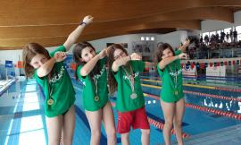 Nuoto, gli atleti dell'Ippocampo protagonisti ai Regionali
