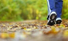 Macerata, riparte “Camminando” a spasso con la cultura