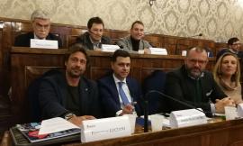 Macerata, minoranza all'attacco: "Danno d'immagine per la città. Chiediamo l'intervento del Garante per l'infanzia"