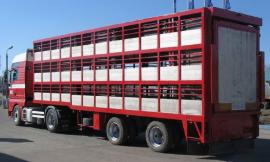 Formazione - Confartigianato e Asur Macerata insieme per i corsi professionali sul trasporto ed il benessere degli animali vivi