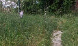 Macerata, degrado e incuria negli spazi verdi della città