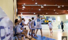 L'Infa Feba Civitanova Marche senza paura a Palermo per la semifinale play-off