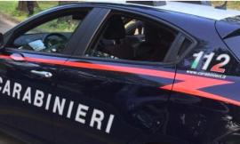 Senza biglietto sul bus, aggredisce il controllore: denunciato