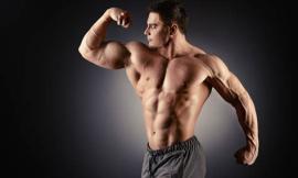 Trofeo Power Fitness, body builders protagonisti a Porto Potenza Picena