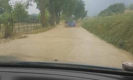 Bombe d'acqua nell'entroterra. A Camerino allagato il palazzetto delle Calvie (VIDEO e FOTO)