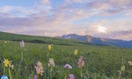 Fiabesco tramonto fra le orchidee e le fioriture di Ragnolo - Le foto