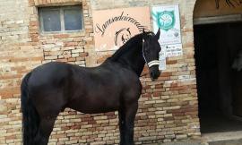 Con Lacasadeicavalli centro estivo all'Abbadia di Fiastra
