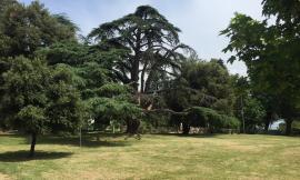 Giornata mondiale dell’ambiente a Macerata: il Parco di Villa Cozza torna al suo splendore
