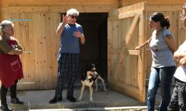 Una casa per cani anziani, lavori al via a Camerino