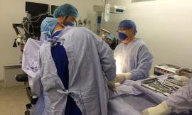 Recanati, salvo il punto di primo intervento: la soddisfazione del Pd