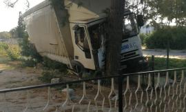 Fontenoce, perde il controllo del camion per colpa di un'ape e finisce contro un albero