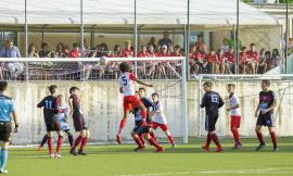 Calcio giovanile, l'Academy Civitanovese vince il Trofeo Marche