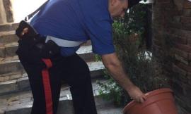 Treia, danneggiamenti nel centro storico: denunciato un venticinquenne