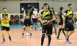 Volley: Andrea Nasari é della Medea Macerata