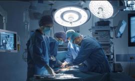 Macerata, muore a 51 anni: la generosità dei suoi familiari salva 5 vite