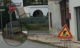 Recanati, M5S: "L'amministrazione comunale deve curare il verde pensando alla sicurezza della popolazione"
