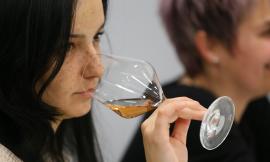 Al via venerdì il Verdicchio Matelica Festival: degustazioni, musica e convegno per il 51° della Doc