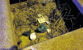 Civitanova, cane defeca nei giardini: cittadino richiama i padroni e chiede di pulire