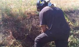 Rompe un tubo del gas col trattore: paura a San Ginesio