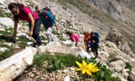 Con ParadisoMontagna a quota 2912: escursione sul Gran Sasso, la cima più alta degli Appennini