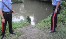 Ritrovato un borsone lungo le rive del Potenza: dentro la carcassa di un cane