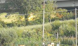 Dramma a Tolentino: si butta dal cavalcavia