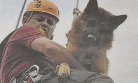Crollo di Genova, l'impegno dei vigili del fuoco del comando di Macerata