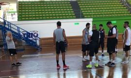 Basket, prime amichevoli per la Rossella Civitanova