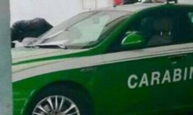 Tolentino. Rinvenute centinaia di provette sigillate: indagano i Carabinieri