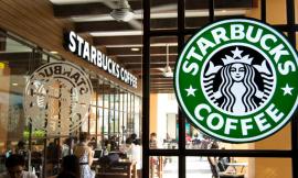 C'è un po' di Macerata nel grande successo milanese di Starbucks