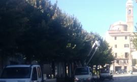 Proseguono i lavori di conversione al led della pubblica illuminazione a Potenza Picena
