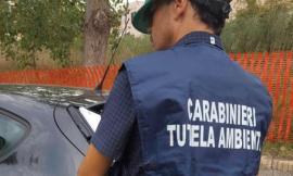 Macerata, gestivano rifiuti pericolosi: due denunce