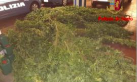 Porto Recanati, sequestrati 80 chili di marijuana: famiglia di ambulanti in manette