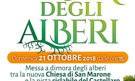 A Civitanova Marche tutto pronto per la Festa degli Alberi