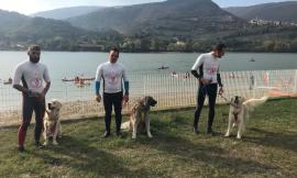 Tornano le canoe e cani da salvataggio in acqua al lago di Caccamo