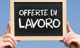 Annunci di Lavoro - Cercasi Personale