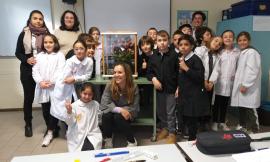 Potenza Picena: insetti stecco in classe per il Progetto Ambiente (Gallery)
