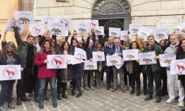 Ancona, flash mob dei giornalisti in piazza