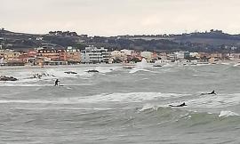 Surfisti sfidano le onde a Civitanova