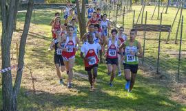 Atletica Avis Macerata, brillante rientro di Eleonora Vandi in campestre