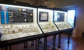 Sisma, domenica la riapertura al pubblico del museo archeologico "Giuseppe Moretti" a San Severino