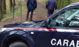 Cingoli, fugge nel bosco e minaccia di uccidersi: soccorso dai carabinieri