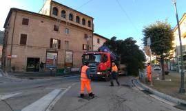 Natale 2018, arrivato in piazza a San Severino il maxi abete alto 15 metri