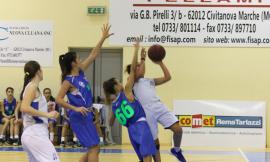 Il punto delle squadre della Feba Civitanova Marche