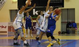 Il punto sulle squadre della Feba Civitanova