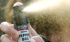 Corinaldo : Esce la pista della "banda dello Spray"